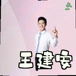 王建安
